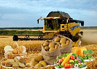 В России создают первую отечественную википедию сельского хозяйства