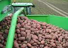 В Томской области началась уборка картофеля и овощей
