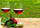 Правительство разделило полномочия Минсельхоза и РАР в сфере виноделия.
