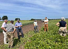 Рабочая группа осмотрела посевы пшеницы, рапса, ячменя и других культур в хозяйствах Томского района