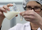 Доля фальсификата молочной продукции в России составляет 6% - Роспотребнадзор