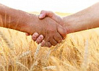 Сельхозпроизводителей приглашают принять участие в вебинаре о мерах господдержки