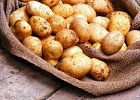 Урожай картофеля оказался под угрозой из-за дождей