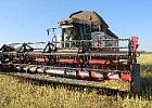 Томские аграрии выполнили план уборки зерновых почти на 74 процента