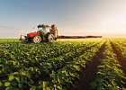 Только 1 процент россиян потребляет органическую продукцию Только 1 процент россиян потребляет органическую продукцию