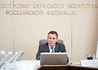 Дмитрий Патрушев обсудил с ректором Тимирязевской академии научный потенциал АПК Дмитрий Патрушев обсудил с ректором Тимирязевской академии научный потенциал АПК