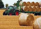 Глобальные зернотрейдеры с 1 июля прекратили экспортировать российское зерно