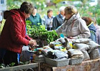 20 мая на областном рынке развернется ярмарка для садоводов