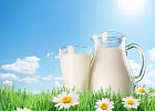 Минсельхоз: на 21 октября средневзвешенная цена на молоко в РФ составила 22,77 руб./кг.