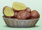 В Китае выплачивают субсидии, занимающимся выращиванием и экспортом картофеля в РФ