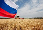 Кемеровская область экспортировала продукции АПК на $195,6 млн