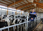 Международный эксперт Юп Дрессен (Нидерланды) проведет трехдневный мастер-класс для томских аграриев 