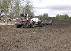 Хозяйства региона вводят в севооборот новые для них культуры Хозяйства региона вводят в севооборот новые для них культуры