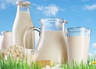 Сельхозтоваропроизводителей Томской области приглашают принять участие в  мероприятиях VI Летнего Молочного Саммита в Сочи