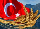 Турция ввела новые ограничения на импорт пшеницы из России