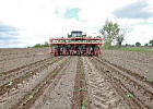 Хозяйства Томской области приступили к высадке рассады капусты 