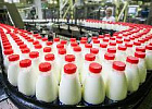 Объём реализации молока в сельхорганизациях вырос на 5,6%