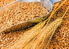 Эксперты сблизили прогнозы сбора зерна в РФ, ждут второго результата после рекорда 2017 года 