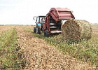 Два района Томской области перевыполнили план кормозаготовительной кампании Два района Томской области перевыполнили план кормозаготовительной кампании