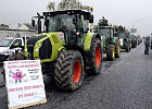 В Финляндии проходят массовые акции разоренных фермеров