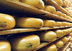 Минсельхоз: производство сыров и сырных продуктов в январе-феврале выросло на 32,9% 