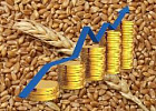 Ежемесячный обзор рынка зерновых