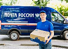 В Томской области почтовики обработали посылки с почти 2 500 саженцев