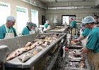 Объем рыбопереработки в Томской области вырос на 23 процента 
