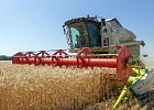Российские аграрии намолотили 27,5 млн тонн зерна