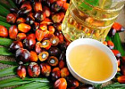 Благодоря B30 цена на пальмовое масло достигла своего максимума
