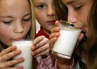 Парламентарии подготовили законопроект о стандартах питания для школьников