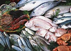 Россия должна стать одним из мировых лидеров по производству рыбной продукции