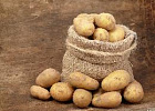 Первый местный картофель может появиться в продаже раньше обычного Первый местный картофель может появиться в продаже раньше обычного