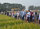 Третий день межрегионального агрофорума прошел в Томской области