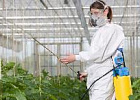 Минсельхоз проведёт эксперимент по прослеживаемости пестицидов и агрохимикатов Минсельхоз проведёт эксперимент по прослеживаемости пестицидов и агрохимикатов