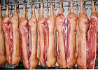 «Сибирская Аграрная Группа» увеличила объемы производства свинины на 36% 