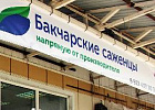На Кулагинском рынке открывается павильон Бакчарские саженцы На Кулагинском рынке открывается павильон Бакчарские саженцы