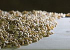 Повышенные цены на зерно подстегнули торги