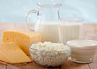 В 2017 году в сельхозпредприятиях России было произведено 15,6 млн. тонн молока