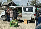 В населенные пункты Молчановского района был организован завоз домашней птицы