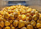 Южный картофель нового урожая снизит розничные цены
