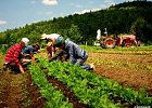 В Томской области стартовал набор новой группы на профессиональную переподготовку в сфере органического сельского хозяйства 