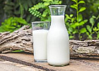Минсельхоз: Россия в ближайшие 4 года будет увеличивать производство молока на 500 тыс. т в год