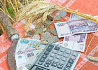 Минсельхоз России: объем кредитных ресурсов на проведение сезонных полевых работ увеличился на 30,7% – до 237,8 млрд рублей