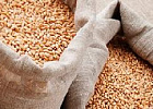 Запасы зерна в России выросли на 15,4% по сравнению с прошлым годом и составили 29,2 млн тонн