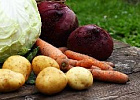 Минсельхоз поручил регионам увеличить урожайность картофеля и овощей в 2020 году