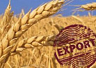 Эксперт: Роста цен на зерно и отмены экспортной пошлины ждать не стоит