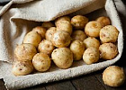 В 2019 году в России увеличился урожай картофеля