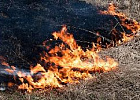 Губернатор Томской области Сергей Жвачкин подписал постановление о начале пожароопасного сезона на территории региона