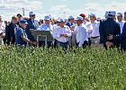 На Дне поля в Татарстане расскажут, как увеличить ежемесячную прибыль на 10 млн рублей